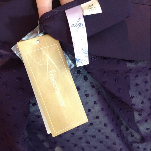 Francesca's NWT Sheer Swiss Dot Top sz Medium M Notch Collar Popover Tunic - Picture 7 of 7